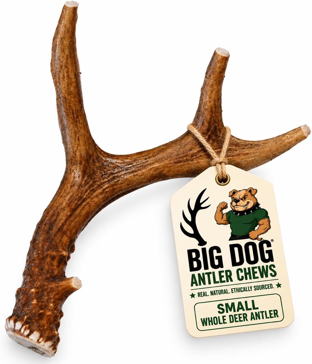 Big Dog Antler Chews Whole Deer Antler Dog Chew