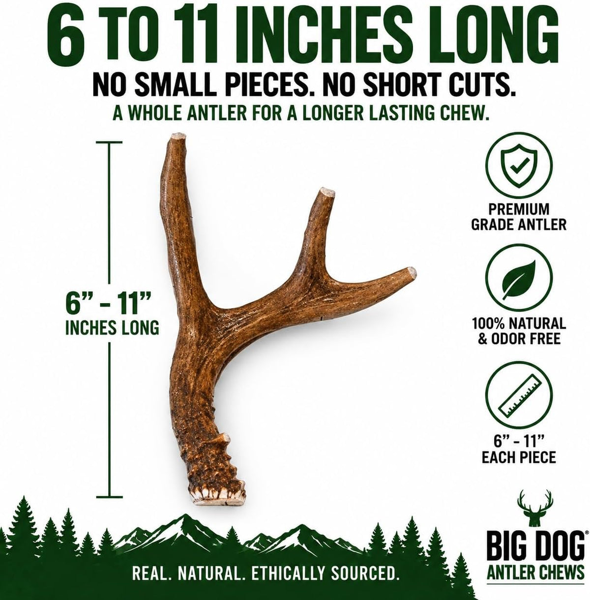 Big Dog Antler Chews Whole Deer Antler Dog Chew