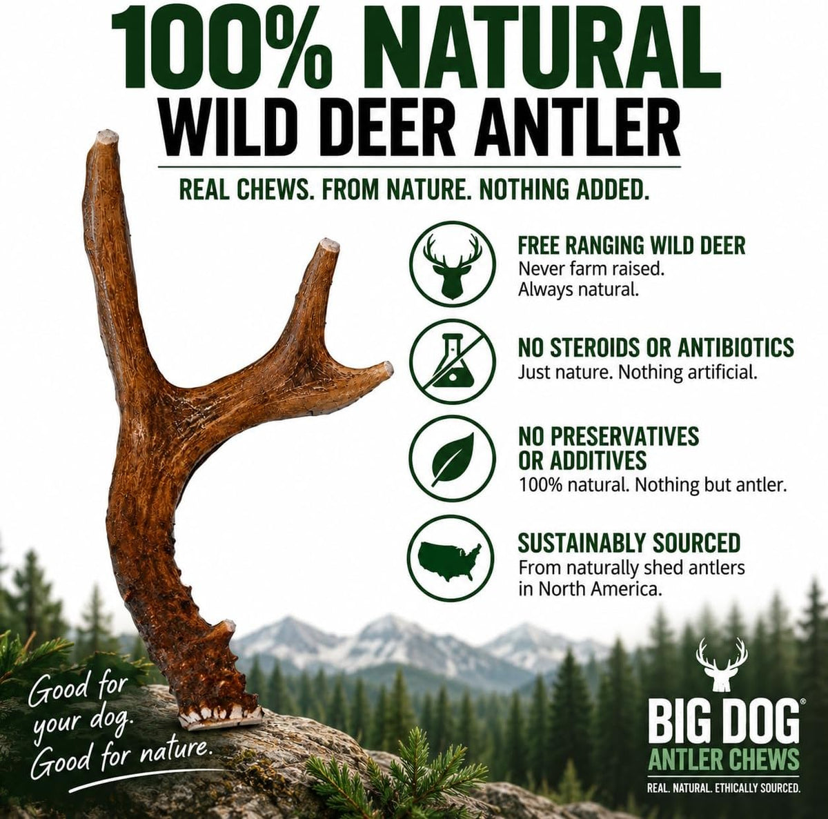 Big Dog Antler Chews Whole Deer Antler Dog Chew