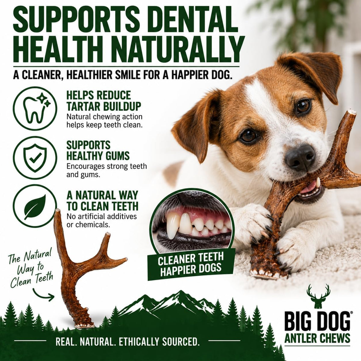 Big Dog Antler Chews Whole Deer Antler Dog Chew