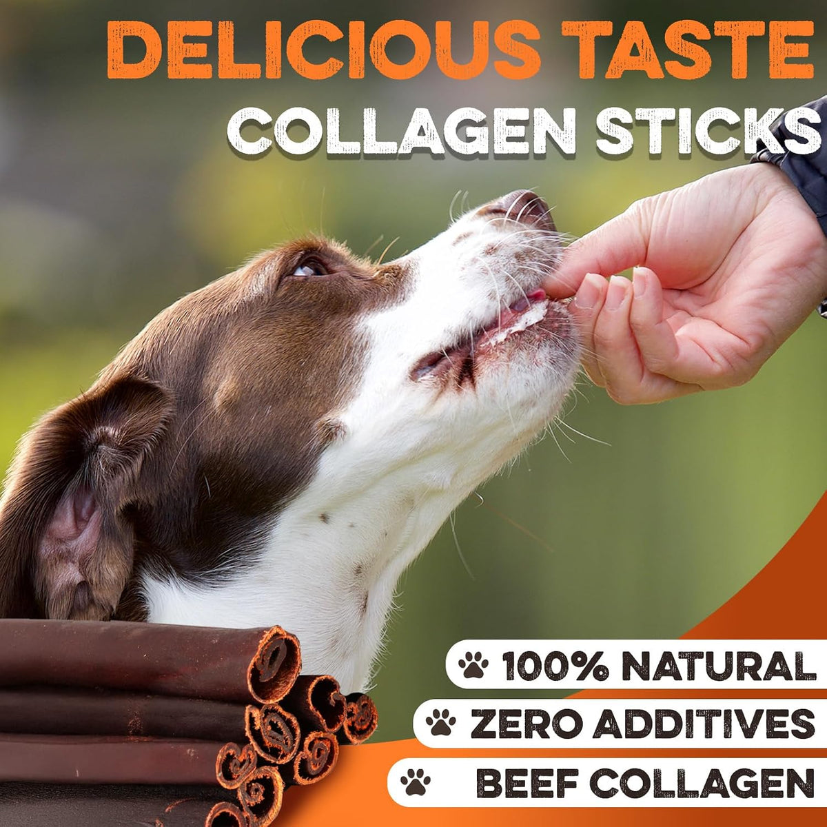 Brutus & Barnaby Beef Collagen Chew Sticks (10 Count)