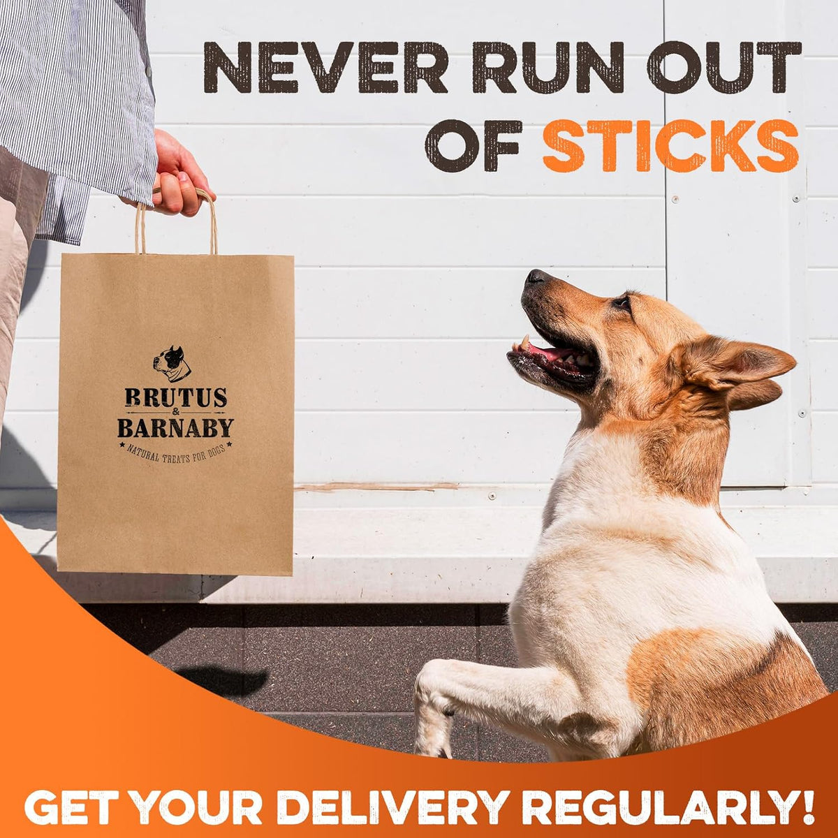 Brutus & Barnaby Beef Collagen Chew Sticks (10 Count)