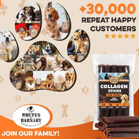 Brutus & Barnaby Beef Collagen Chew Sticks (10 Count)