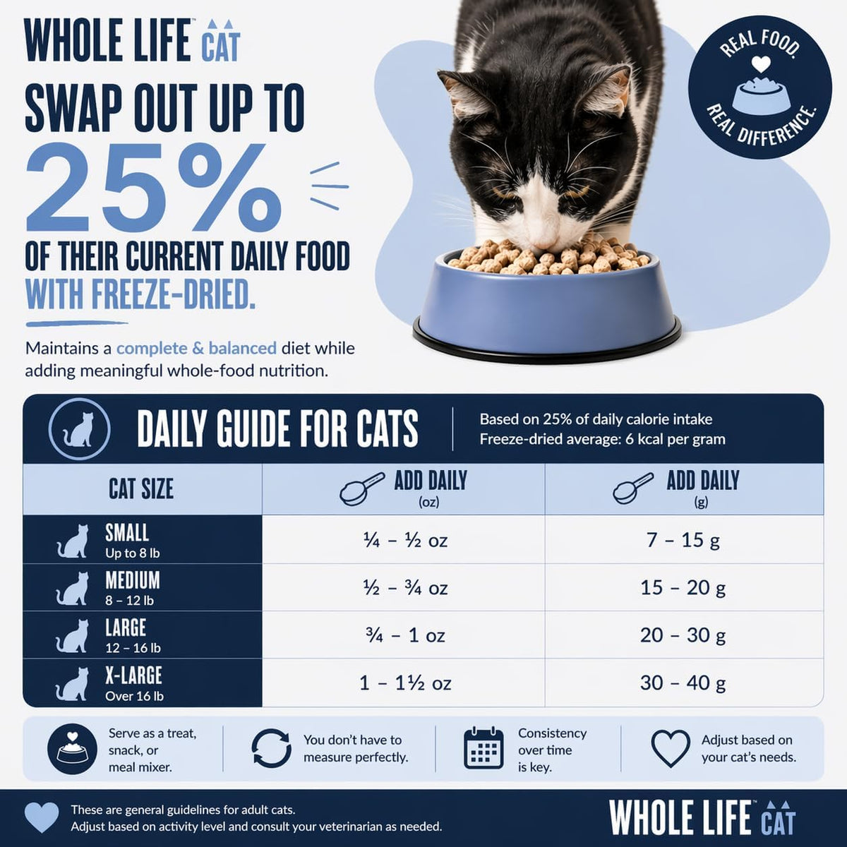 Whole Life Just One Freeze-Dried Salmon Cat Treats (1 oz)
