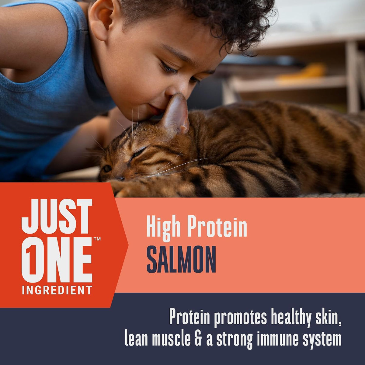 Whole Life Just One Freeze-Dried Salmon Cat Treats (1 oz)