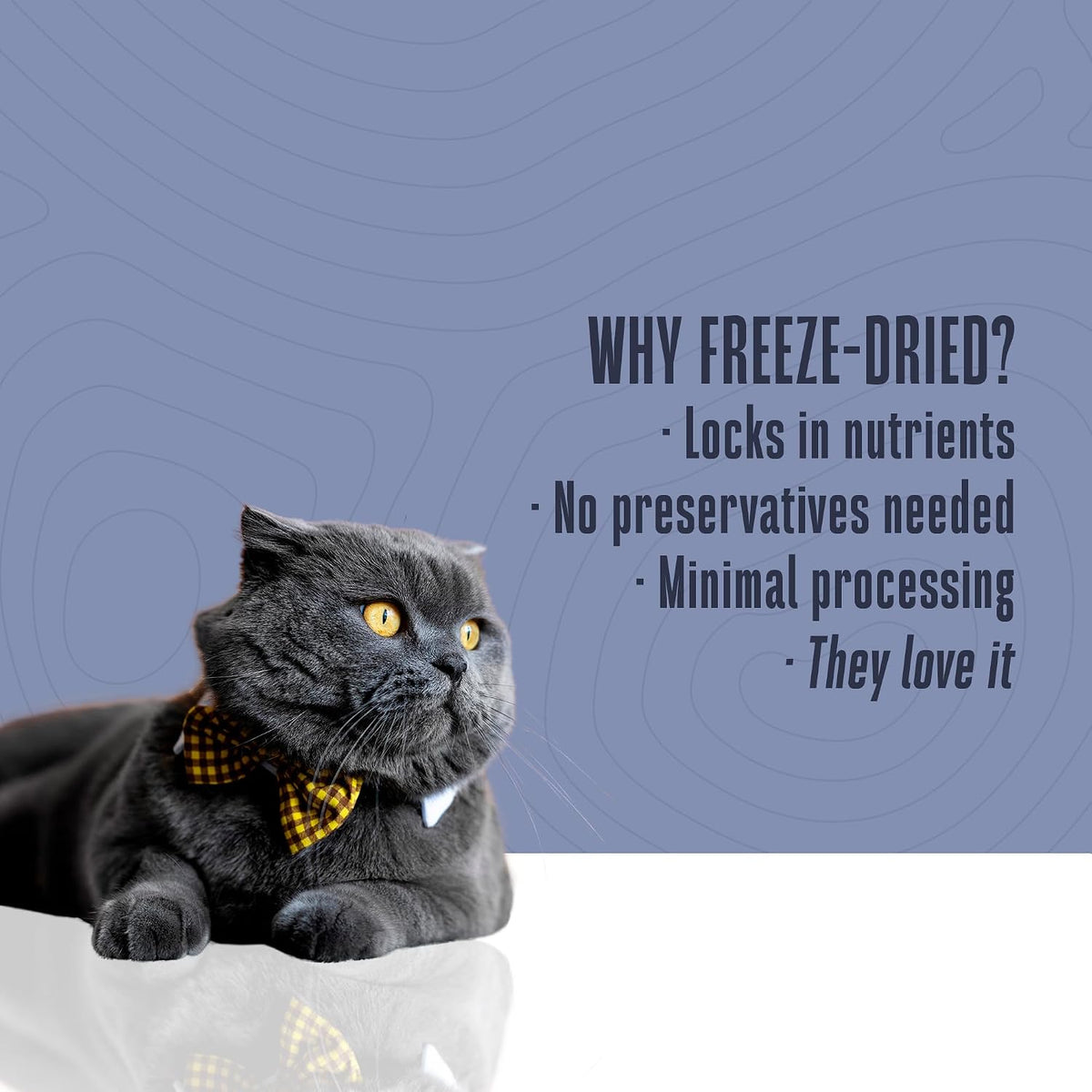 Whole Life Just One Freeze-Dried Salmon Cat Treats (1 oz)