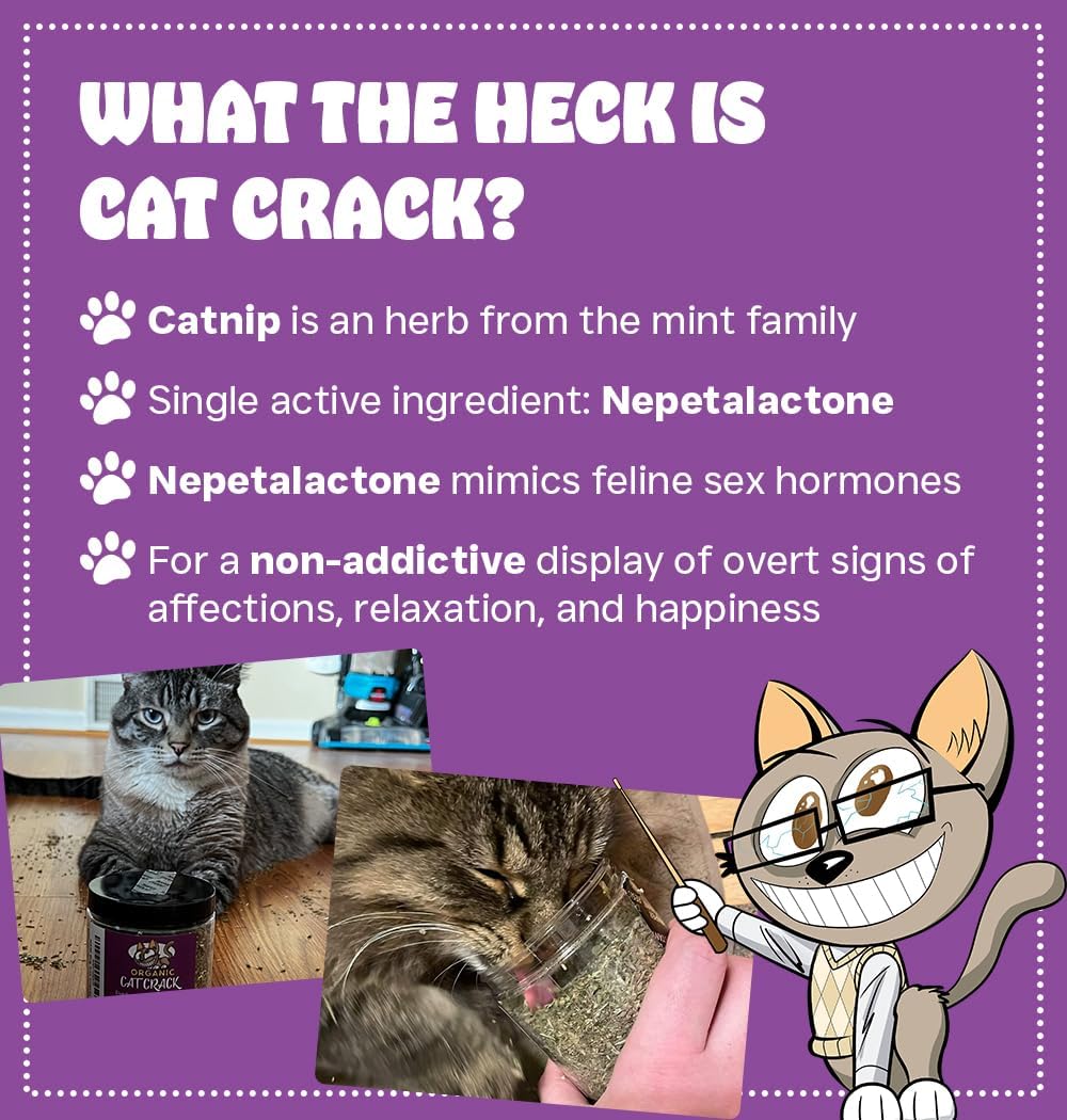 Cat Crack 100% Natural Catnip (1 Cup)