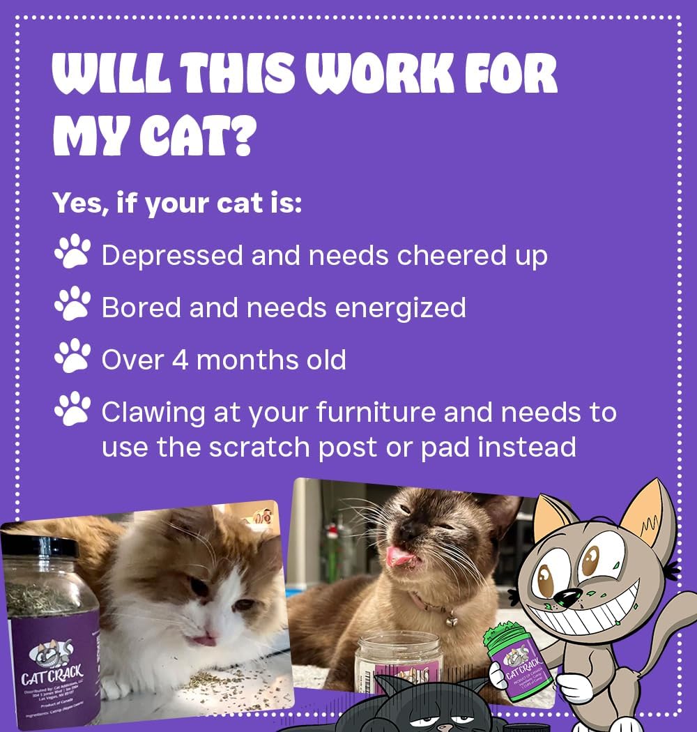 Cat Crack 100% Natural Catnip (1 Cup)