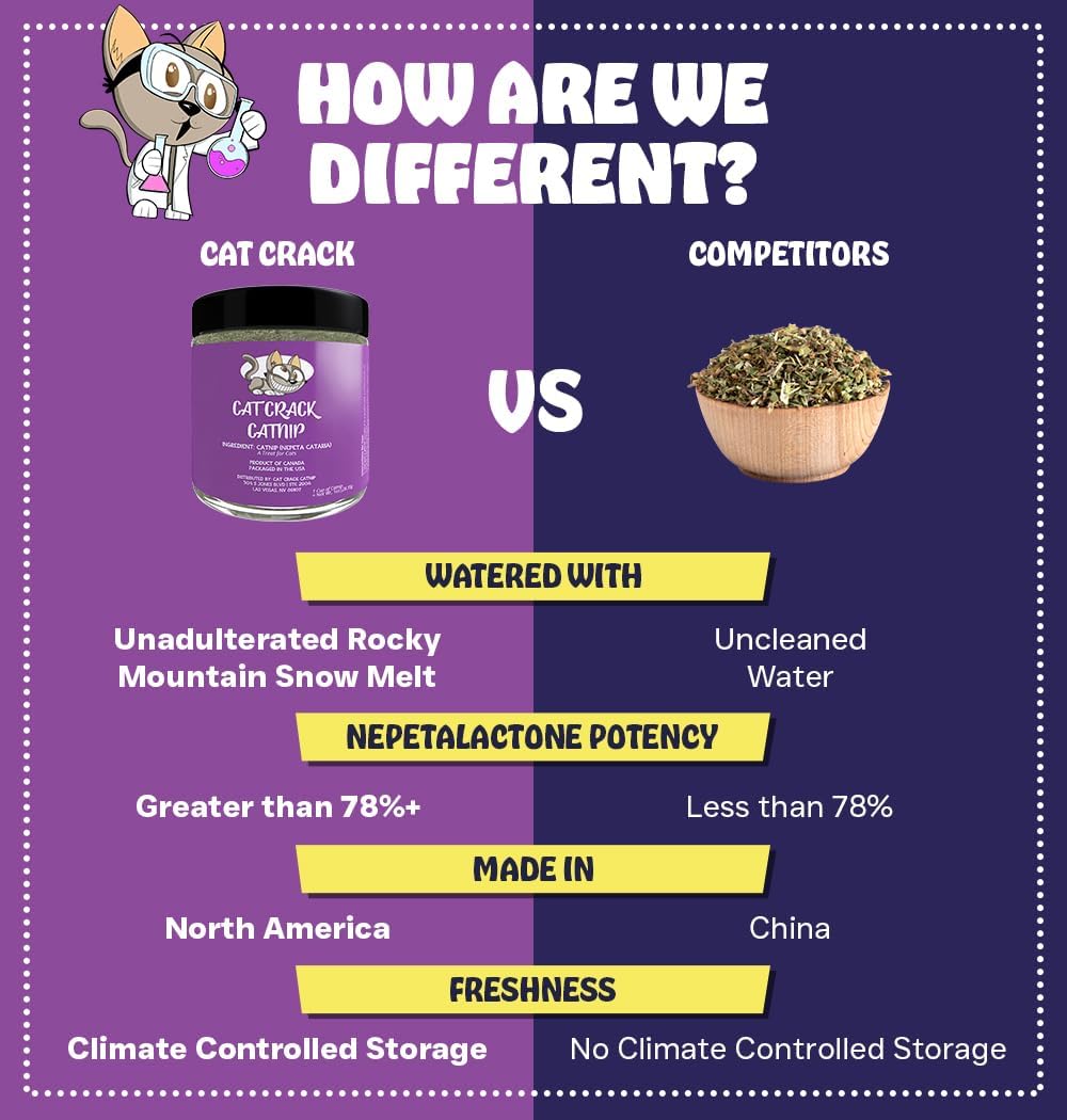 Cat Crack 100% Natural Catnip (1 Cup)