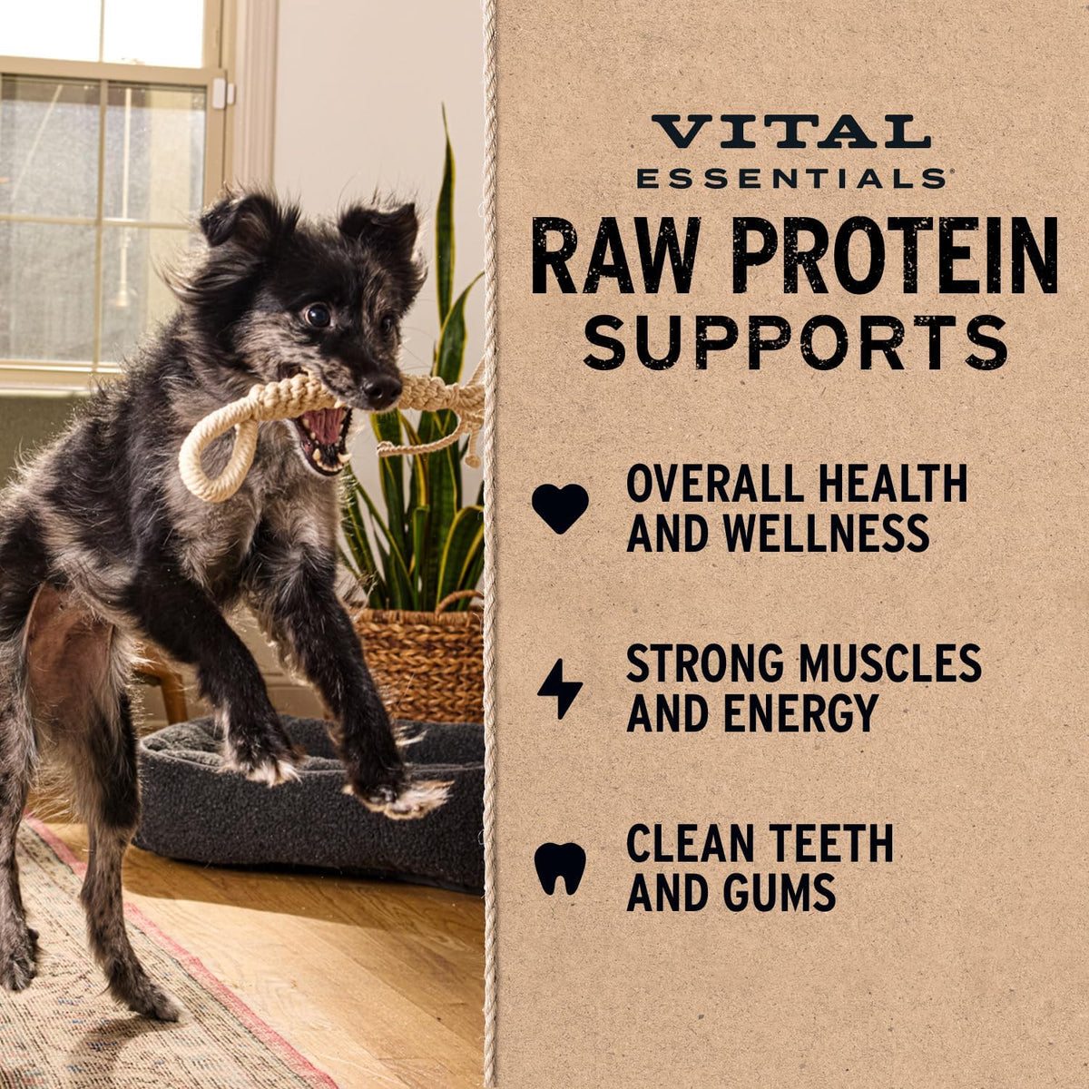 Vital Essentials Freeze-Dried Salmon Dog Treats (2.5 oz)