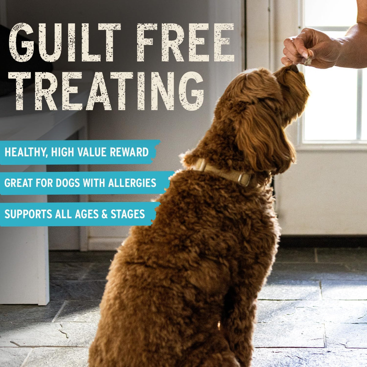 Vital Essentials Freeze-Dried Salmon Dog Treats (2.5 oz)
