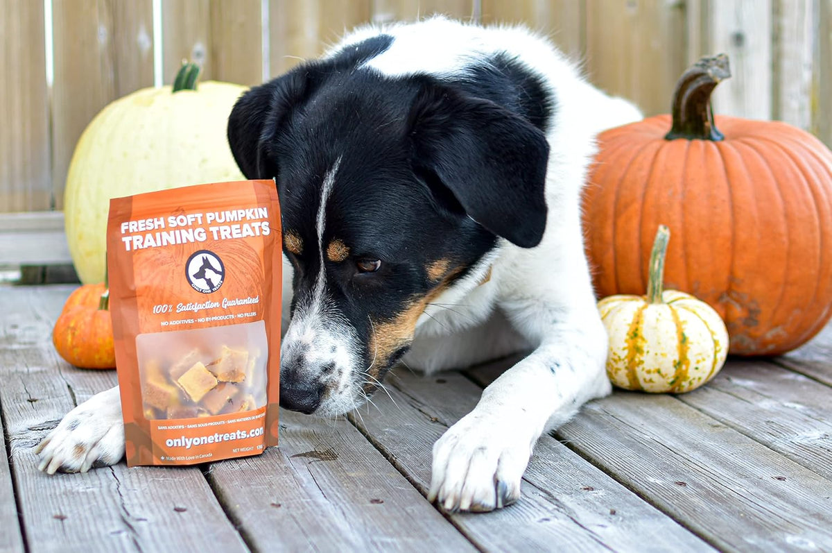 Only One Treats Soft Pumpkin Dog Training Treats (3 x 170g)