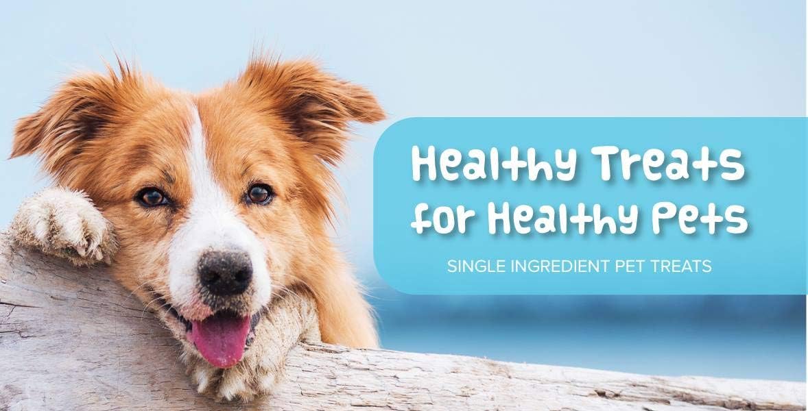 Only One Treats Soft Pumpkin Dog Training Treats (3 x 170g)