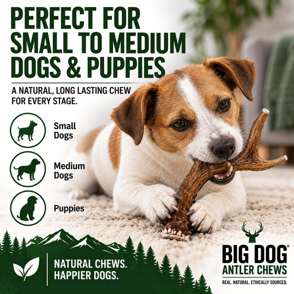 Big Dog Antler Chews Whole Deer Antler Dog Chew