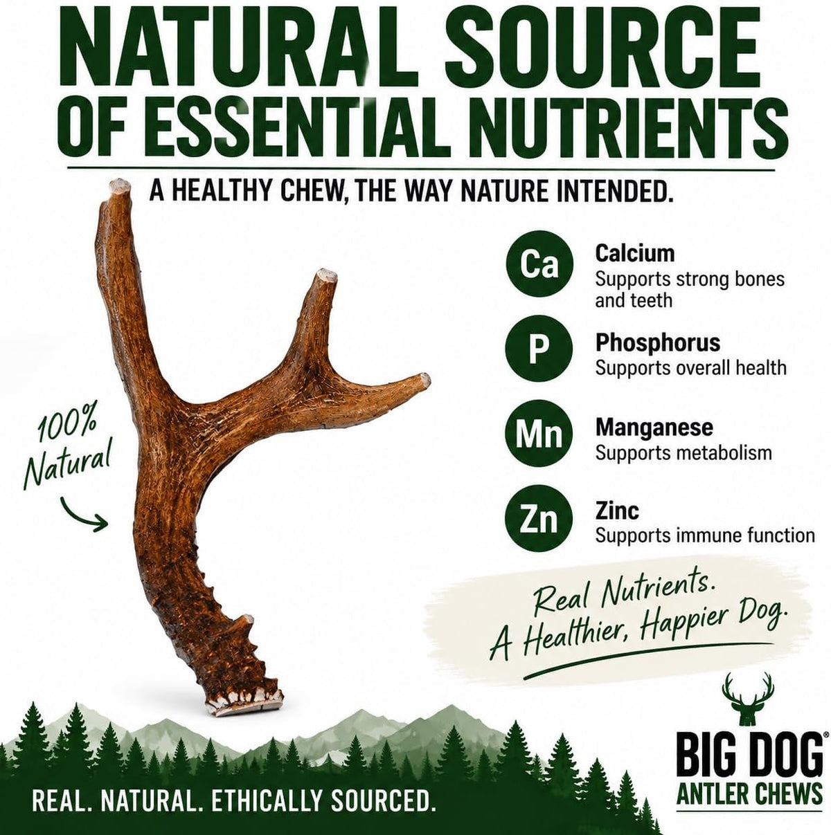 Big Dog Antler Chews Whole Deer Antler Dog Chew