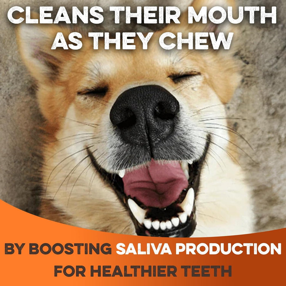 Brutus & Barnaby Beef Collagen Chew Sticks (10 Count)