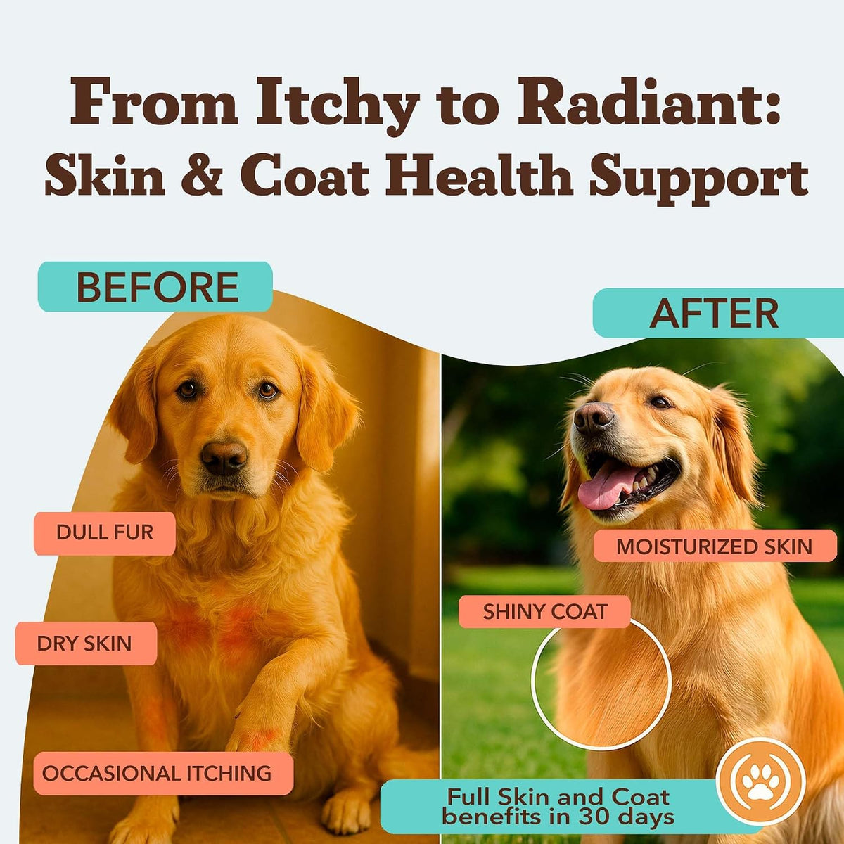 Natural Dog Company Skin & Coat Soft Chews for Dogs (90 Count)