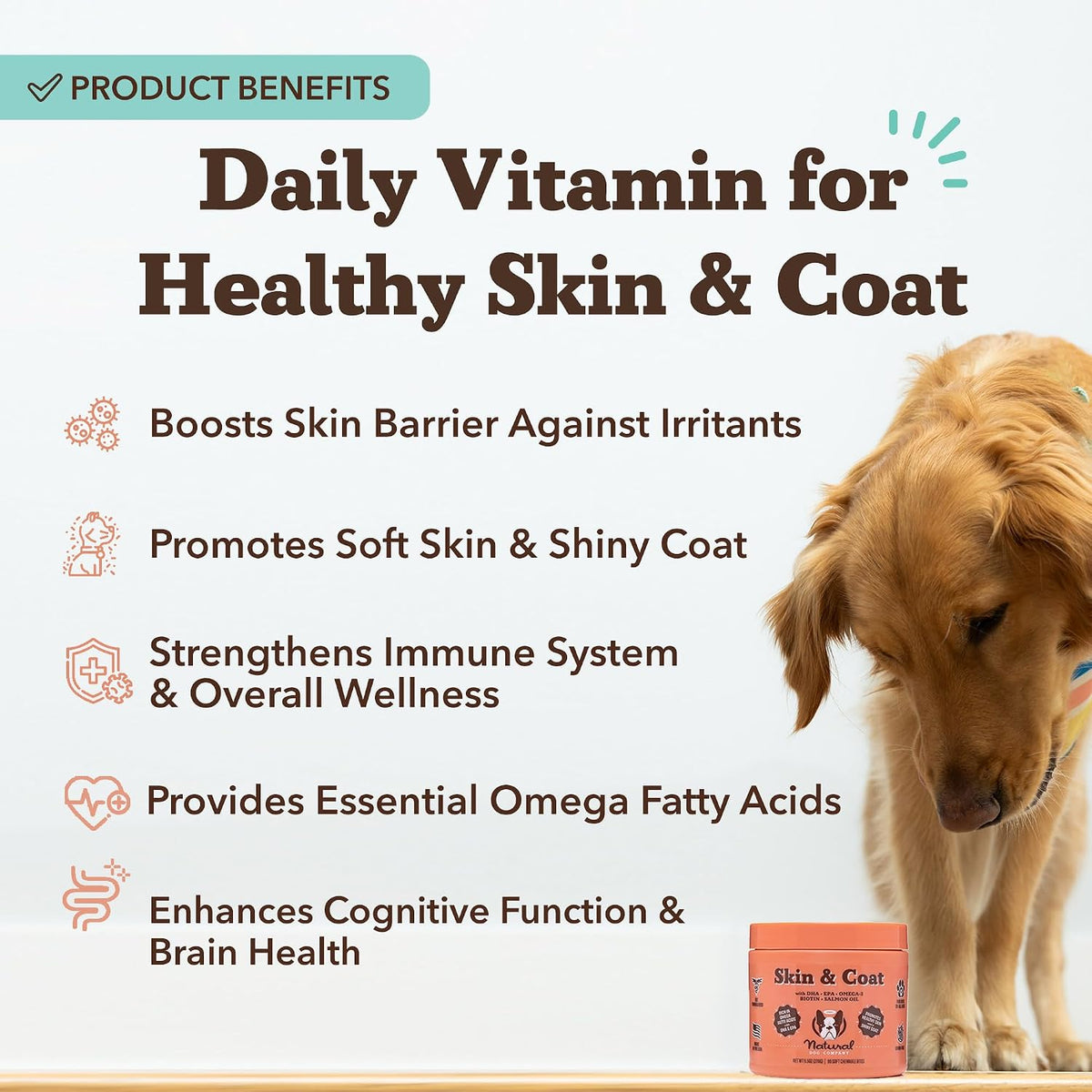 Natural Dog Company Skin & Coat Soft Chews for Dogs (90 Count)