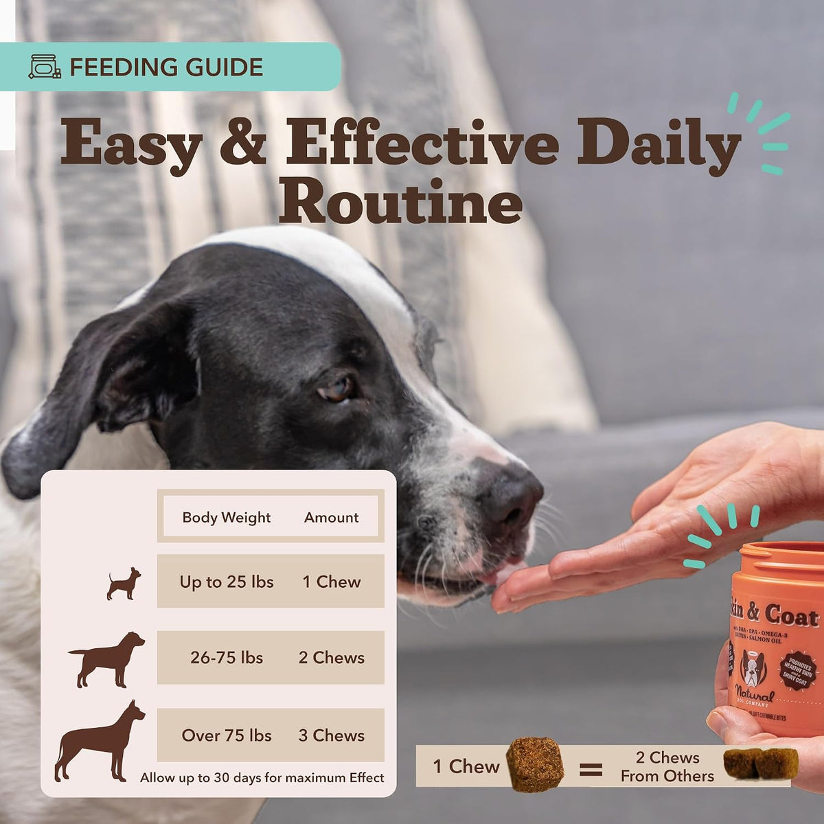 Natural Dog Company Skin & Coat Soft Chews for Dogs (90 Count)