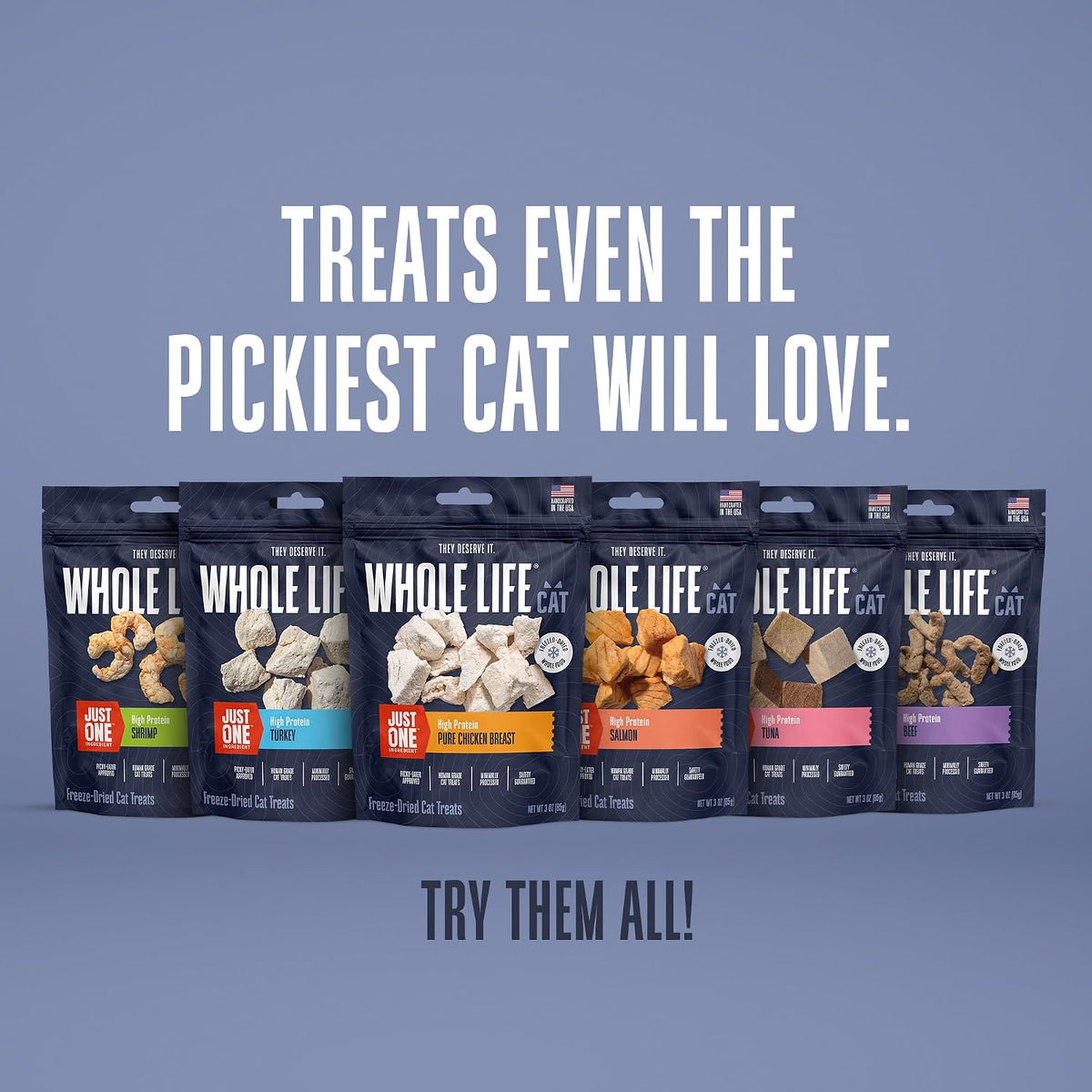 Whole Life Just One Freeze-Dried Salmon Cat Treats (1 oz)