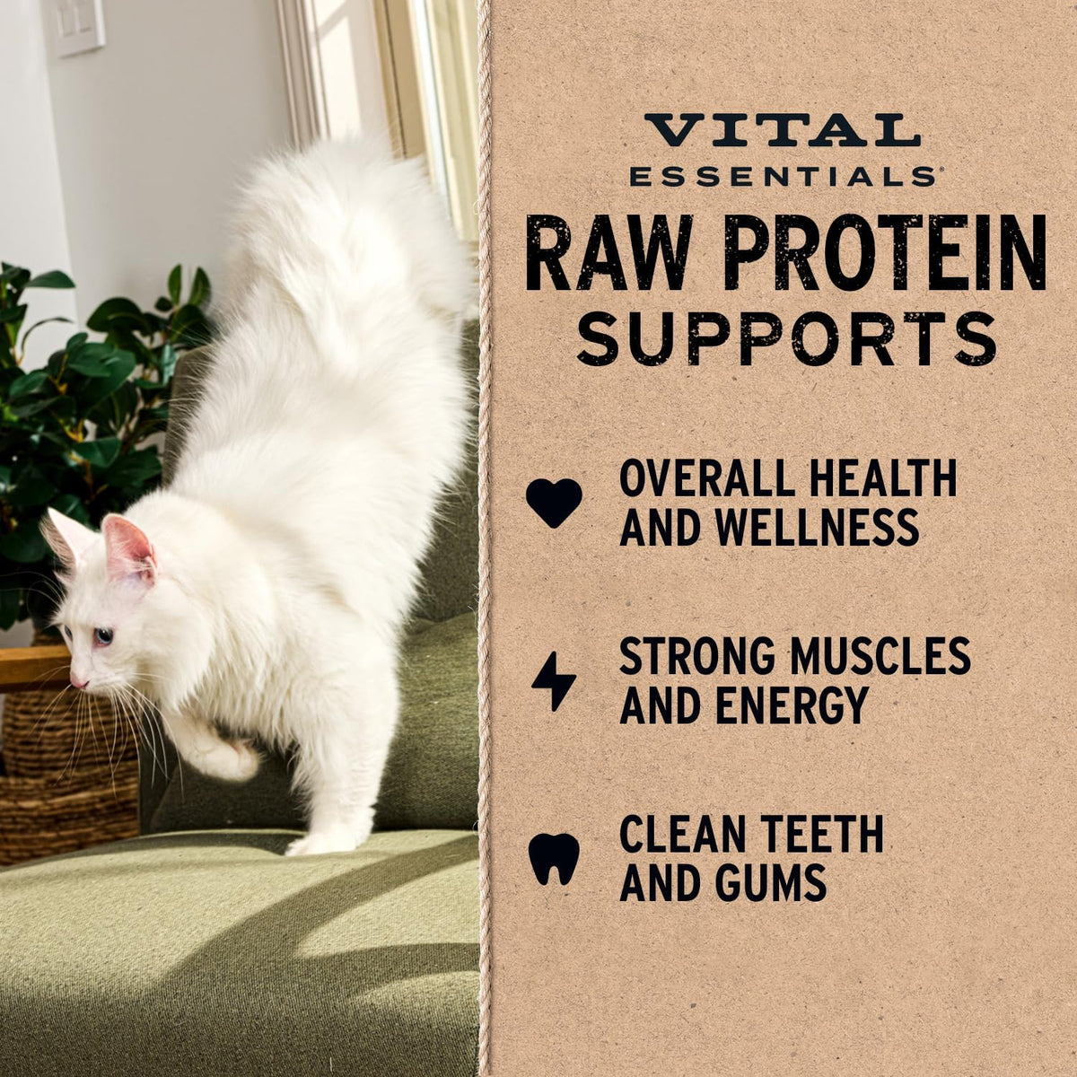 Vital Essentials Freeze-Dried Ahi Tuna Cat Treats (1.1 oz)
