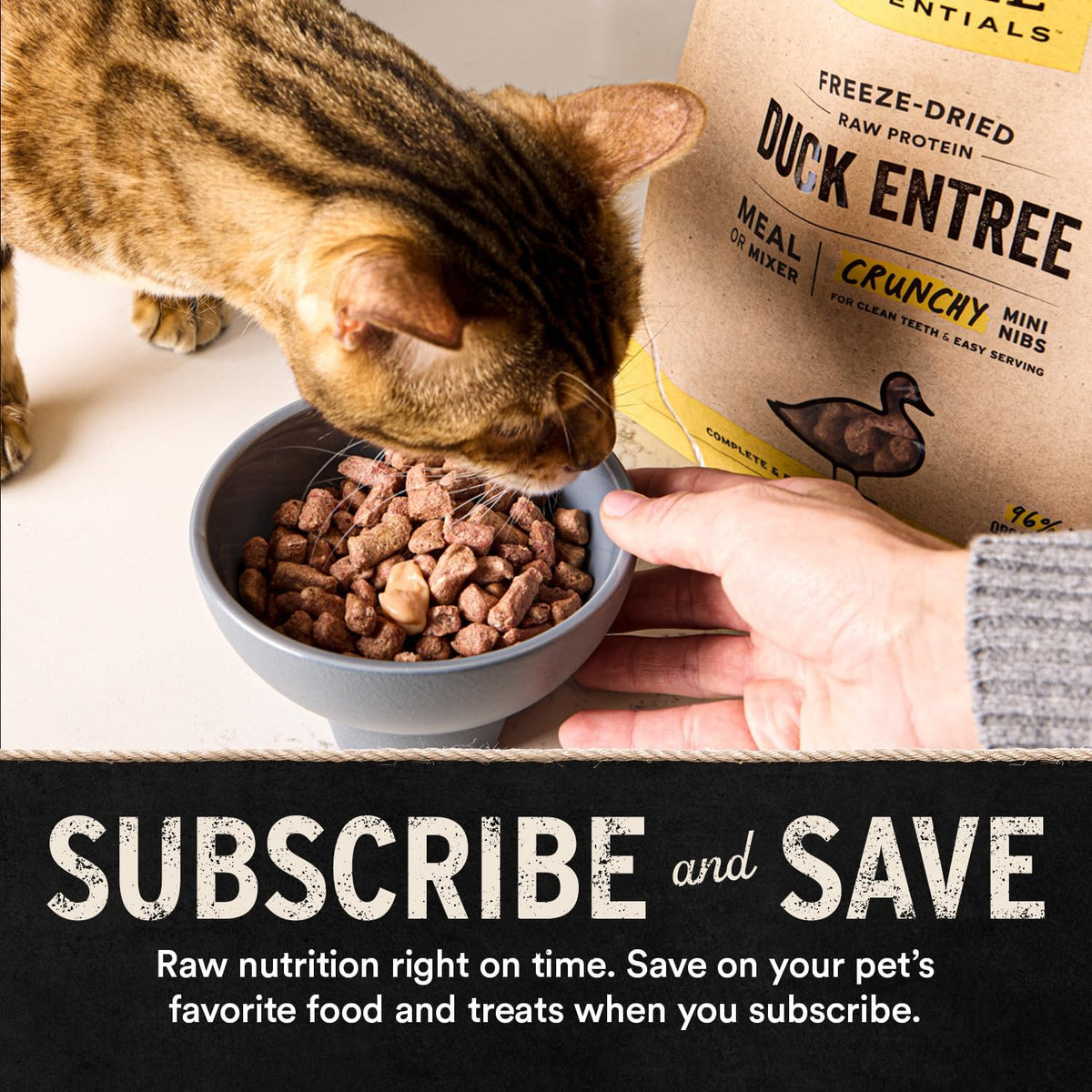 Vital Essentials Freeze-Dried Ahi Tuna Cat Treats (1.1 oz)