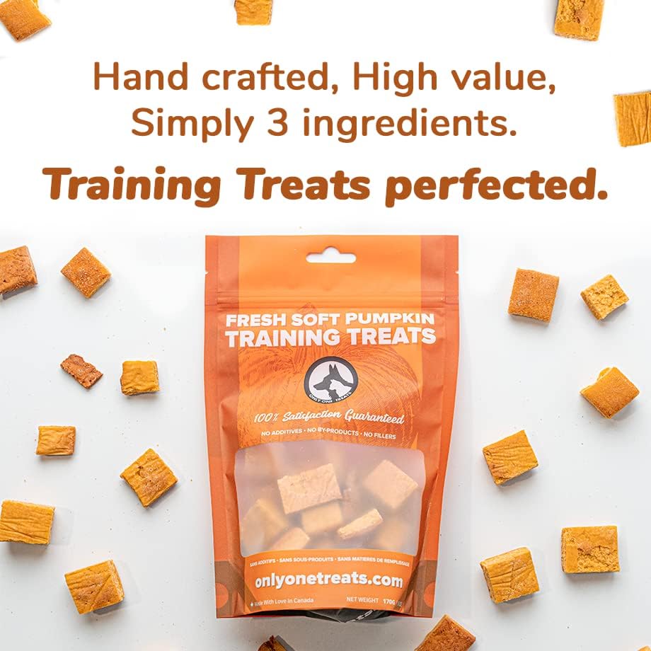 Only One Treats Soft Pumpkin Dog Training Treats (3 x 170g)