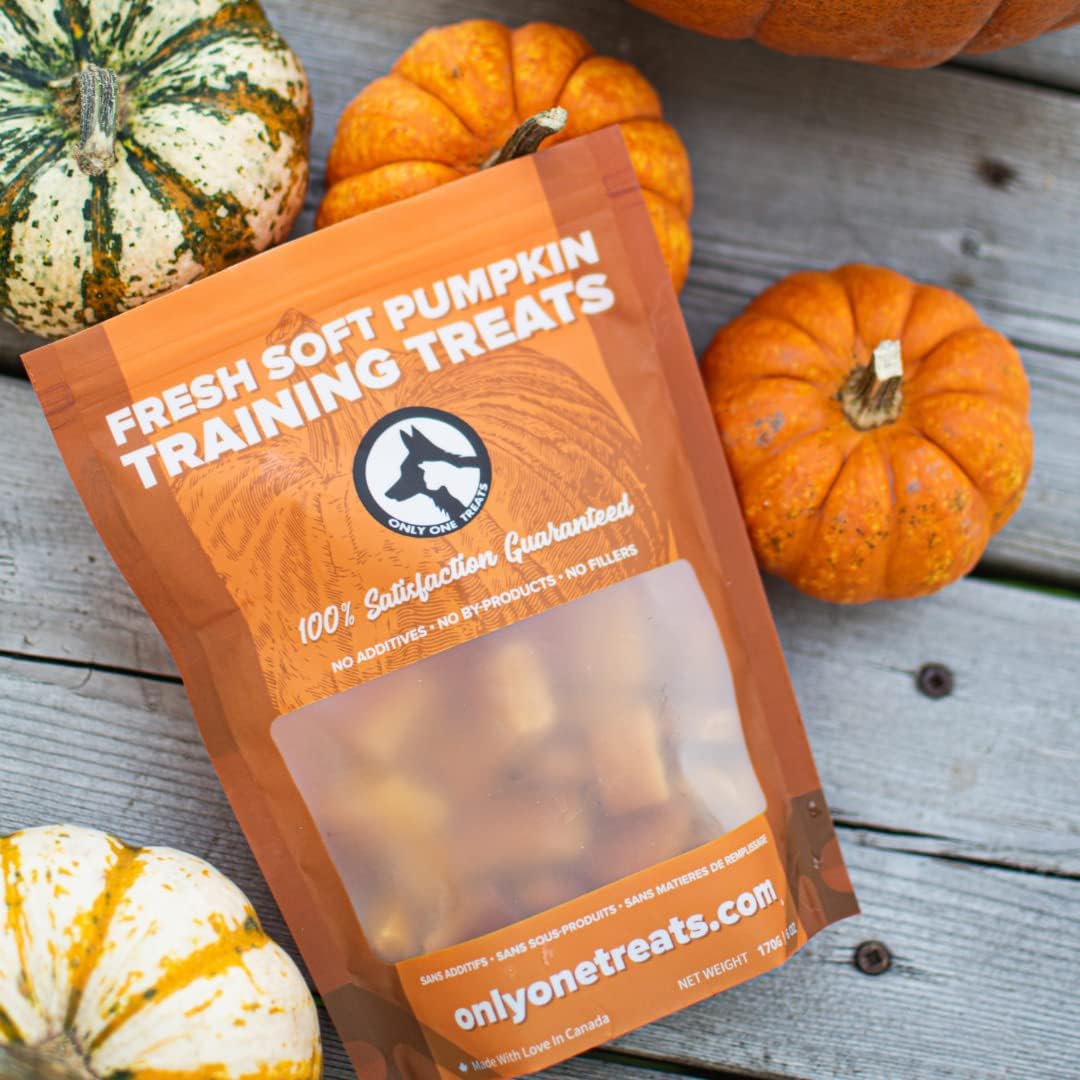 Only One Treats Soft Pumpkin Dog Training Treats (3 x 170g)